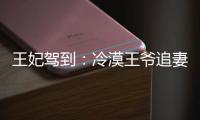 王妃驾到：冷漠王