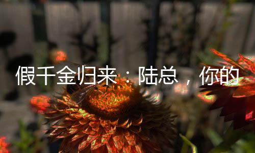 《全网黑后我在军旅综艺杀疯了》全文在线阅读