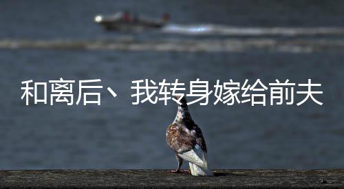 《黄泉快递：亲，记得五星好评哟》全文在线阅读