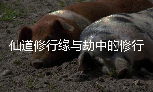 仙道修行缘与劫中的修行者