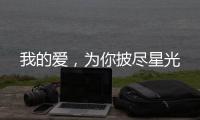 我的爱，为你披尽