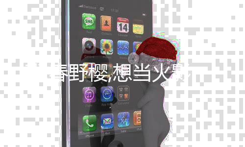 我,春野樱,想当火影