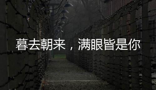《重生年代大院娇媳美又飒》全文在线阅读