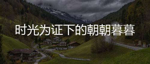 《穿书年代小可怜，奋斗逆袭不炮灰》全文在线阅读