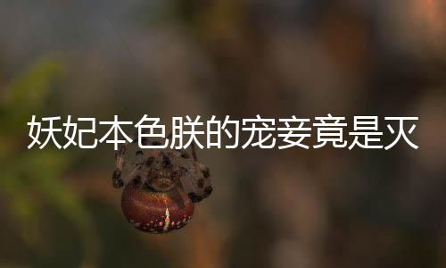 《重生年代，福气包在厂区吃瓜看戏》全文在线阅读