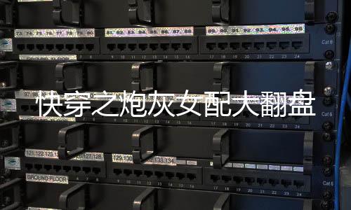《穿书后，她在八十年代发家致富》全文在线阅读