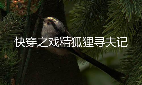 快穿之戏精狐狸寻夫记