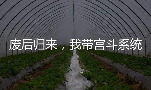 《夫人每天都在线打脸》全文在线阅读