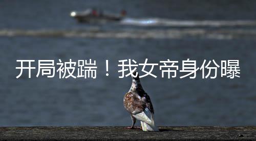 《许你万丈光芒好》全文在线阅读
