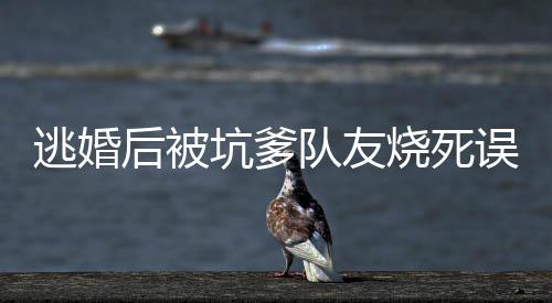 《算卦太准，一不小心功德爆表啦！》全文在线阅读
