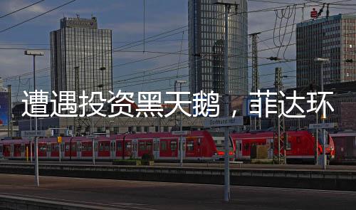 遭遇投资黑天鹅，菲达环保付出了多大代价？