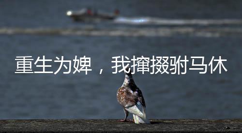 《别闹，薄先生！》全文在线阅读