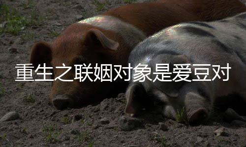 《致命偏宠》全文在线阅读