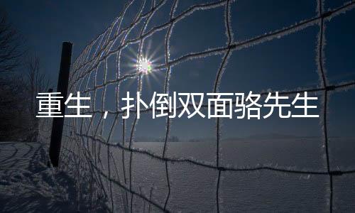 《穿书后，她在八十年代发家致富》全文在线阅读