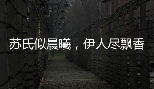 苏氏似晨曦，伊人尽飘香