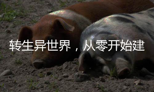 《闪婚七零：随军养崽暴富了》全文在线阅读