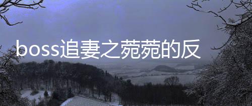 《夫人你马甲又掉了》全文在线阅读